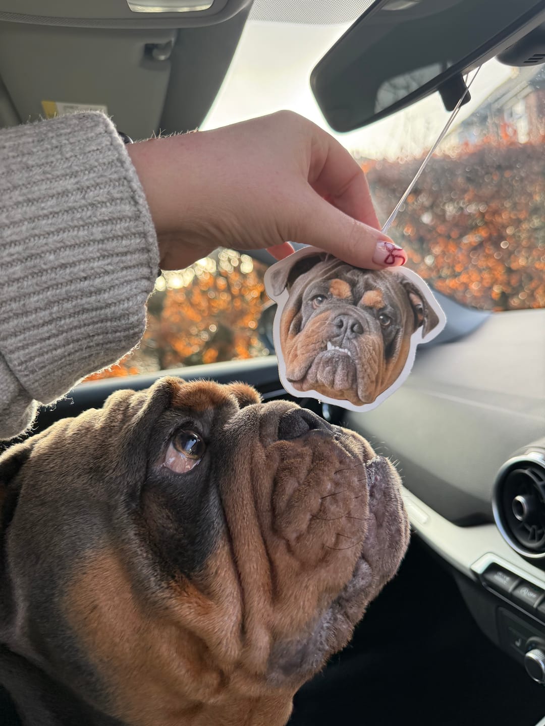 Personalised Car Air Freshener