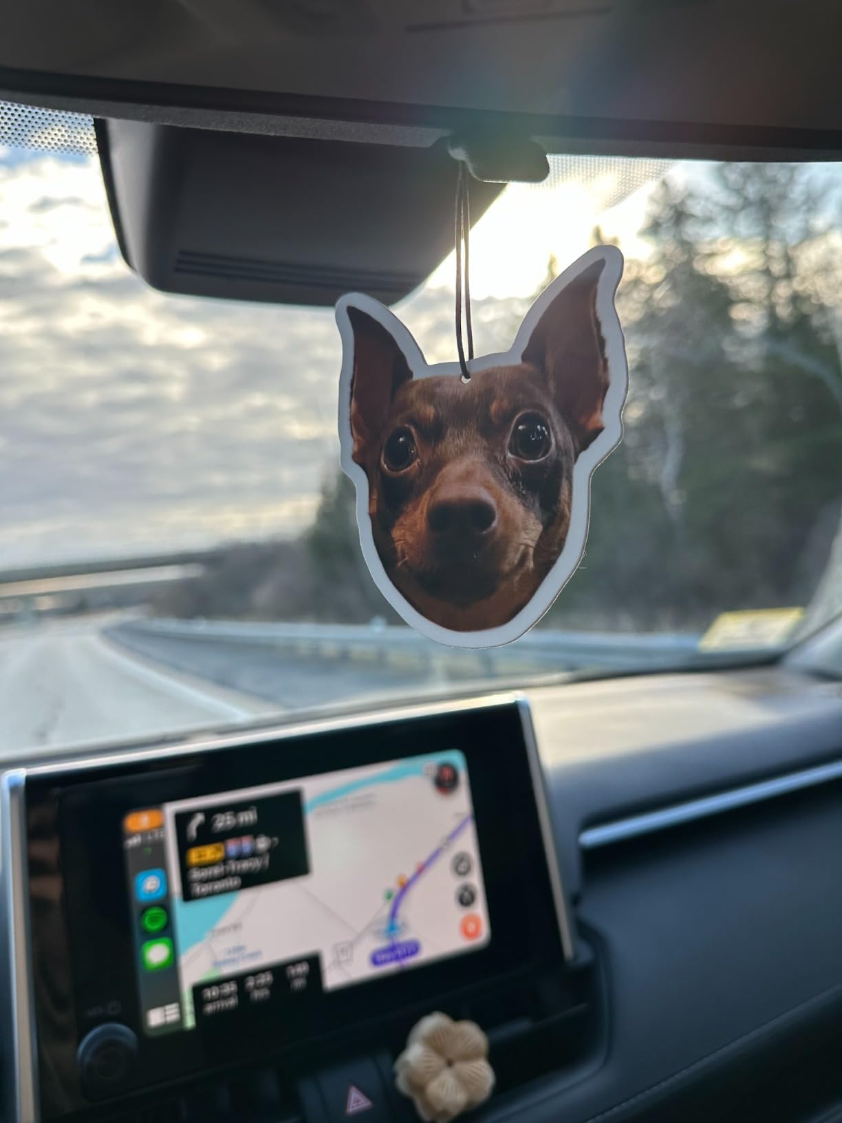 Ambientador de coche personalizado
