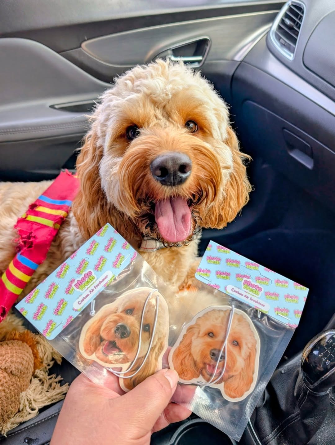 Ambientador de coche personalizado