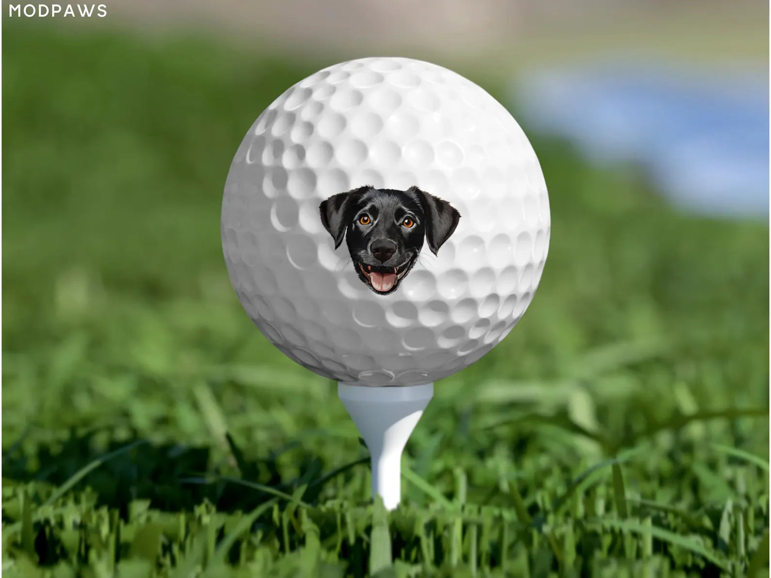 Personalised Golf Balls